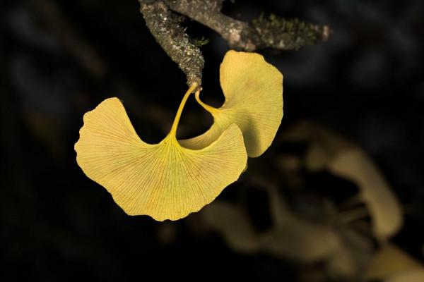 人到中年，需要一個知心人