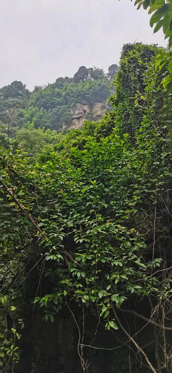 嘉陵江小三峽封神榜•溫塘峽篇（1）