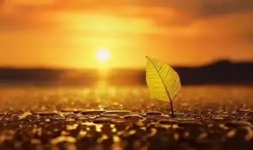 親在,米就在 親在,米就在