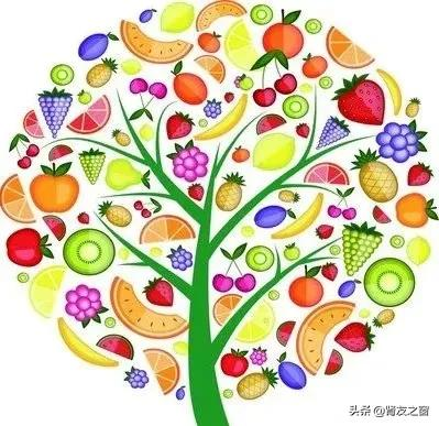 疫情期間，糖友如何飲食增強免疫力？