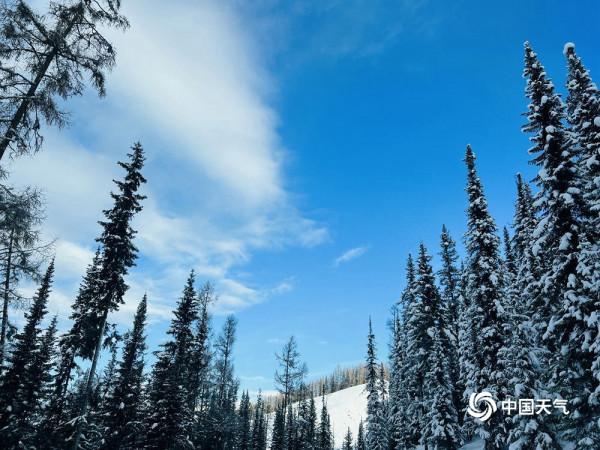 純淨之美 冬日喀納斯湖“林海雪原”仙氣十足