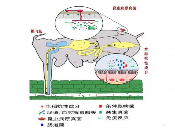 喜報!中國計量大學獲批2021年國家自然科學基金區域創新發展聯合基金重點專案 喜報!中國計量大學獲批2021年國家自然科學基金區域創新發展聯合基金重點專案