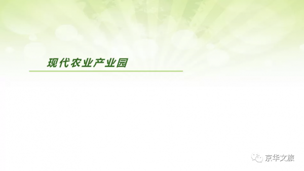 現代農業產業園總體規劃及效益分析方案（附下載）
