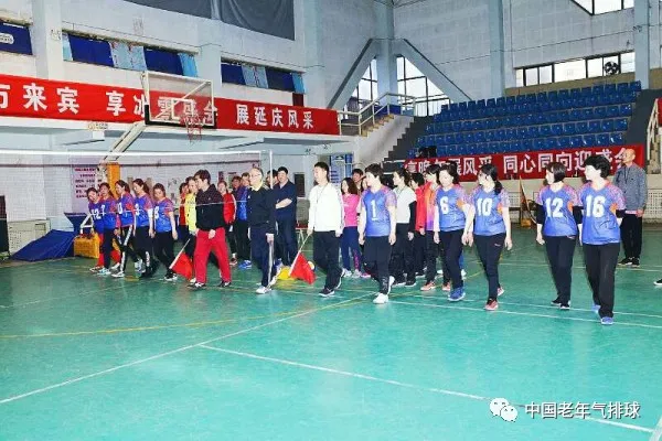 關於氣排球裁判員臨場執裁存在的問題與解決方法