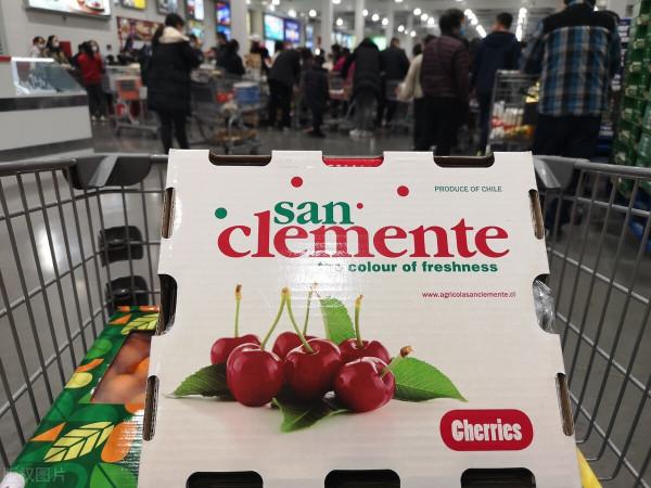 智利車釐子本季銷售再遇難題，我國對“李屬壞死環斑病毒”說不