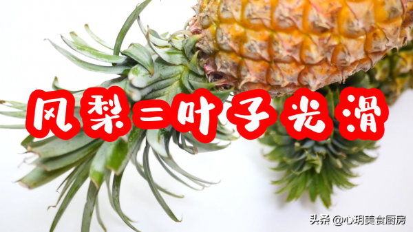 明明長得一個模樣，為啥一個叫鳳梨，一個叫菠蘿？原來差別在這兒