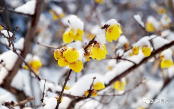 冬夜(散文) 冬夜(散文)