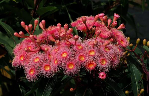 各色的花都開得繽紛絢燦，好像天上降下了一道彩雲