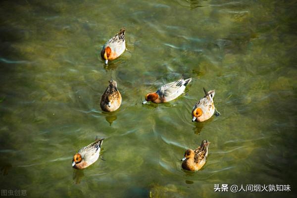 羅建雲：拒出仕嚴君平隱居綿竹馬尾場，訪賢求良光武帝欽封紫巖山