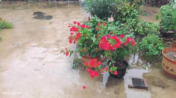 2022年是澇還是旱?農村老人說:看明日八月十五是啥天就能預知 2022年是澇還是旱?農村老人說:看明日八月十五是啥天就能預知