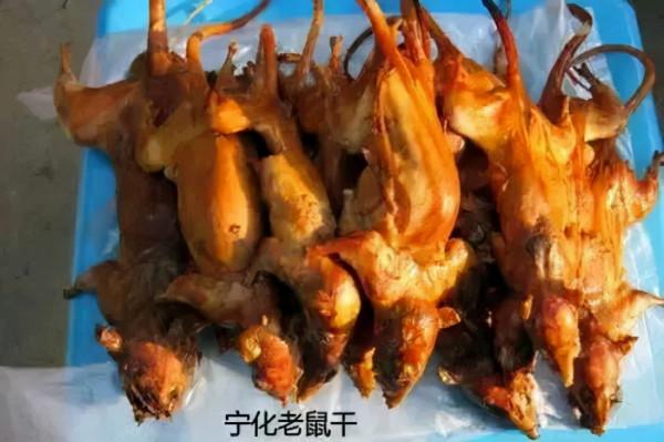 最奇葩的食物,如果這幾種食物不吃就要餓死,你選擇哪個? 最奇葩的食物,如果這幾種食物不吃就要餓死,你選擇哪個?