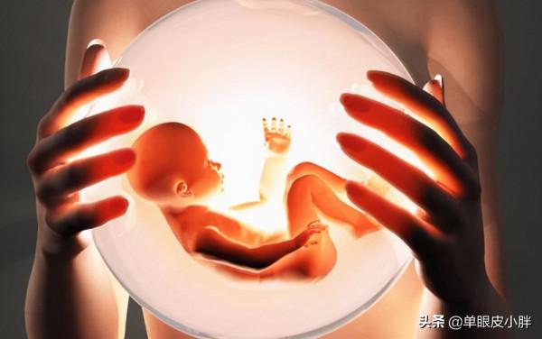 如果可以預測未來,你最想幹什麼? 如果可以預測未來,你最想幹什麼?