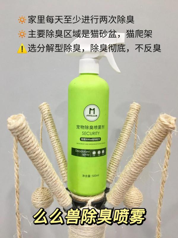 科學的養貓常識！新手養貓一定要清楚