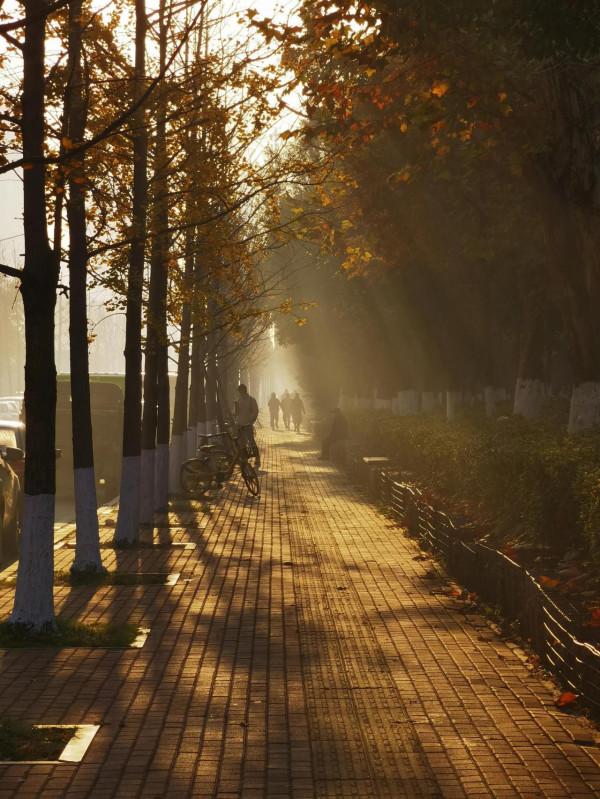 華為mate40pro拍照效果怎麼樣？看圖