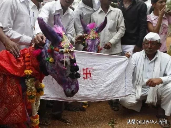 6名女孩被綁遊行:為了祈雨,印度人能有多拼? 6名女孩被綁遊行:為了祈雨,印度人能有多拼?