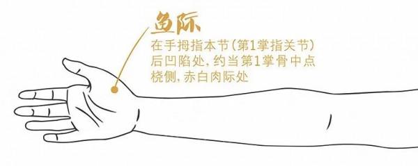 秋季乾燥咳不停,試試這3個調補方法 秋季乾燥咳不停,試試這3個調補方法