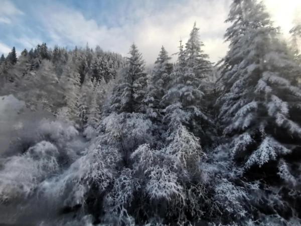 九寨溝的第一場雪 晶瑩剔透 恍若進入了童話世界