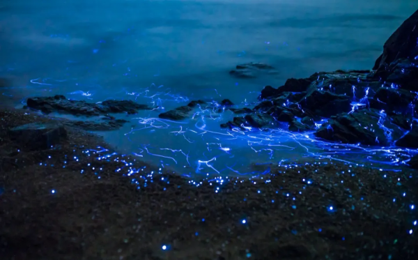 《國家地理》最新評出：10箇中國最美的旅行地，你去過幾個呢？