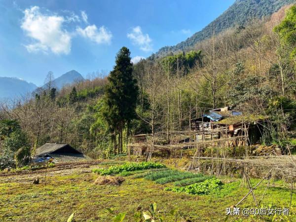 徒步成都大邑終南山，山高路遠無人煙，只有一座荒廢無人的道觀