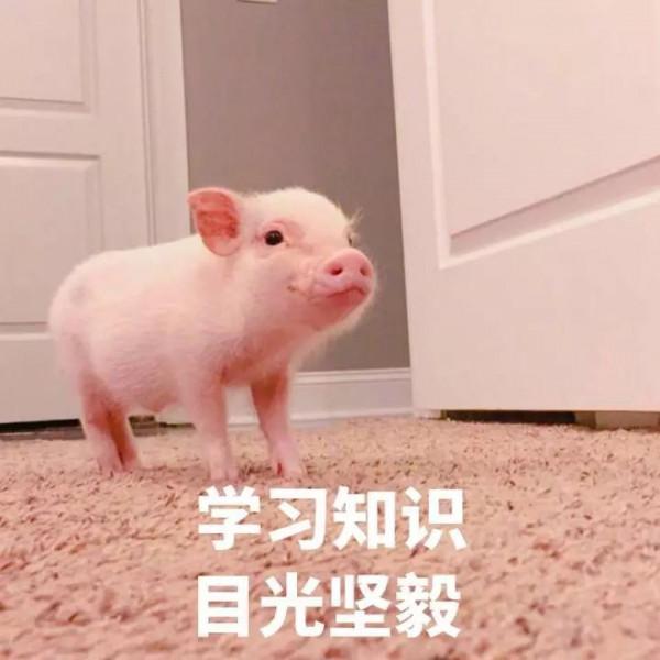 想要打好乒乓球，你需要掌握這幾個小技巧