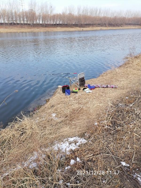 不斷改變作釣思路，寒冷冬季也能釣大板鯽