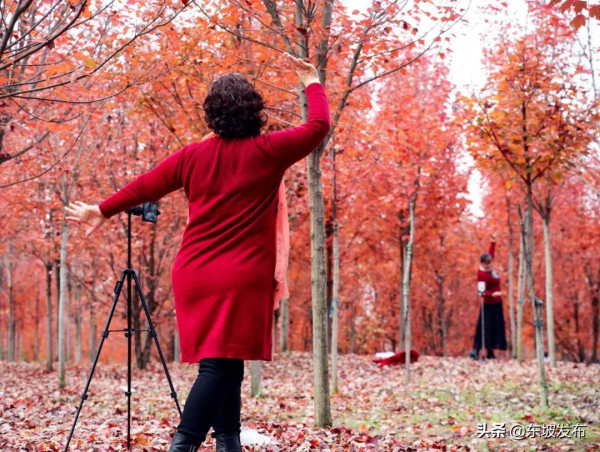 畫面太美！這裡的楓葉紅了 一定要去打卡喲～