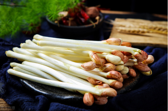 想吃花生芽不用買!一個盆就能搞定,3天就能吃,營養還美味 想吃花生芽不用買!一個盆就能搞定,3天就能吃,營養還美味