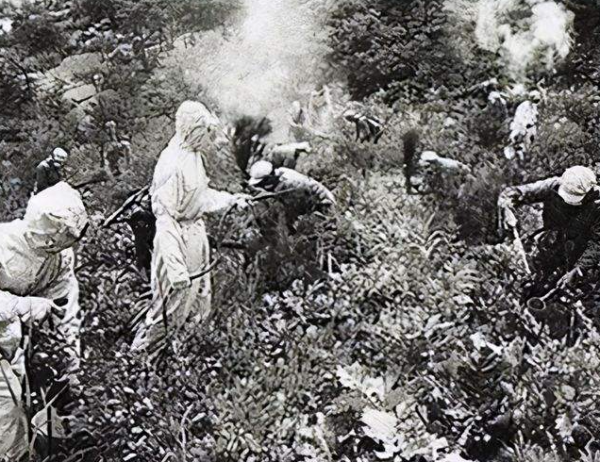 美國朝鮮戰場投毒，我國爆發大面積瘟疫，新中國上下一心粉碎奸計