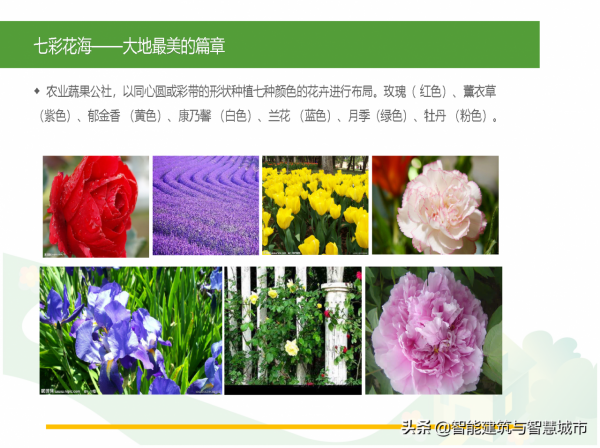 休閒農業觀光旅遊專案解決方案