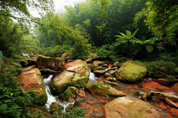 貴州有一景區走紅，被譽為“沒有敗筆的景區”，距遵義市250公里