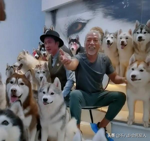 年輕時長相兇惡,老了變和善的8位男星,58歲張耀揚一頭白髮 年輕時長相兇惡,老了變和善的8位男星,58歲張耀揚一頭白髮