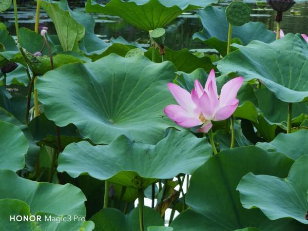 2021年即將過去，盤點那些給人快樂的數碼產品，有些真的不貴