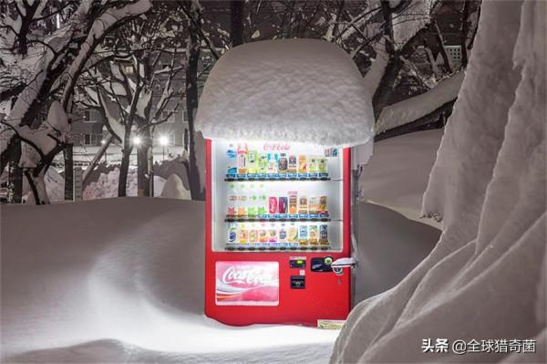 35張“活久見”的完美圖片，強迫症瞬間被治癒了