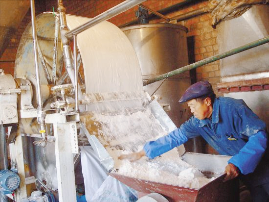 什麼是加工型土豆？現有19個品種，如何選擇和抓住機遇？