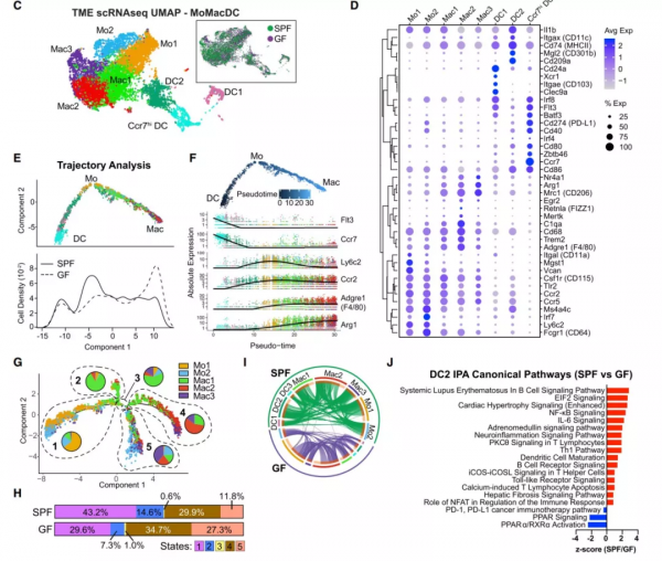 Cell丨人體微生物群：重程式設計腫瘤微環境，掃除免疫療法障礙