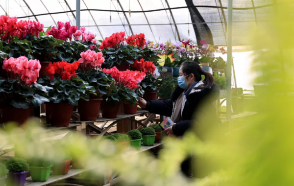 春節返鄉觀察：從這裡看到鄉村振興的新氣象