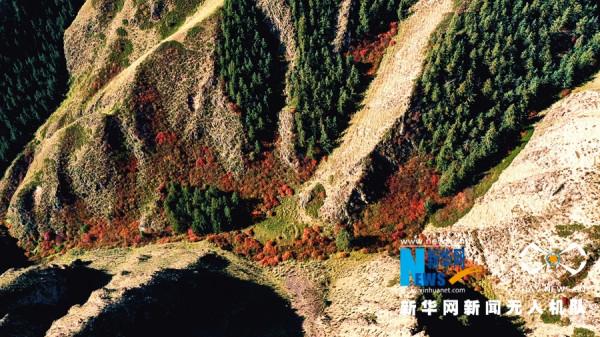 甘肅肅南:秋色絢麗如“調色盤” 甘肅肅南:秋色絢麗如“調色盤”