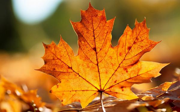 人老了，到了最後一站，才發現以下幾樣東西，生不帶來死不帶走