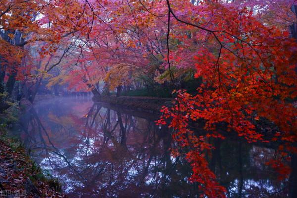 淡定從容，世事無常，心安即是歸處