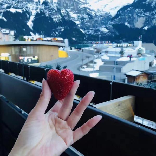 格林德瓦-誤入仙境的驚喜