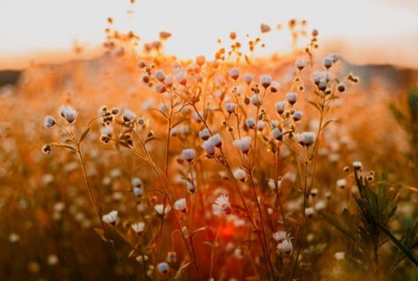 做人的底線，其實就是這4句話