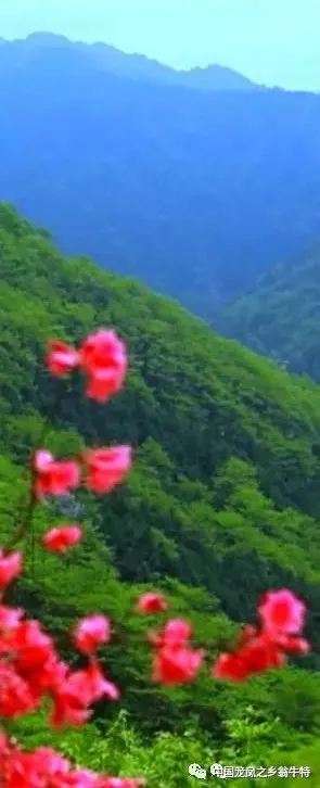 中國龍鳳之鄉&mdash;&mdash;翁牛特