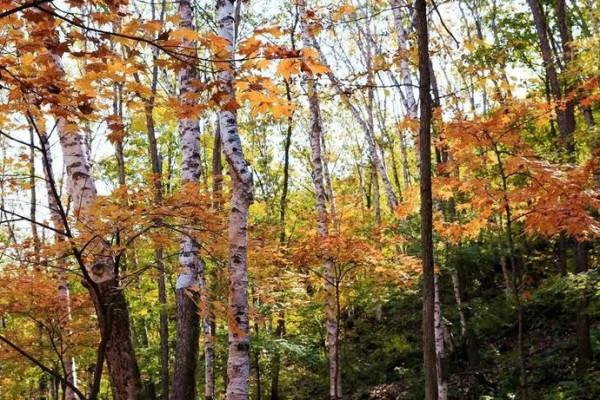 未來一個月,北京周邊的景色將是這樣的—— 未來一個月,北京周邊的景色將是這樣的——