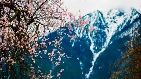 人生如棋，落子為定