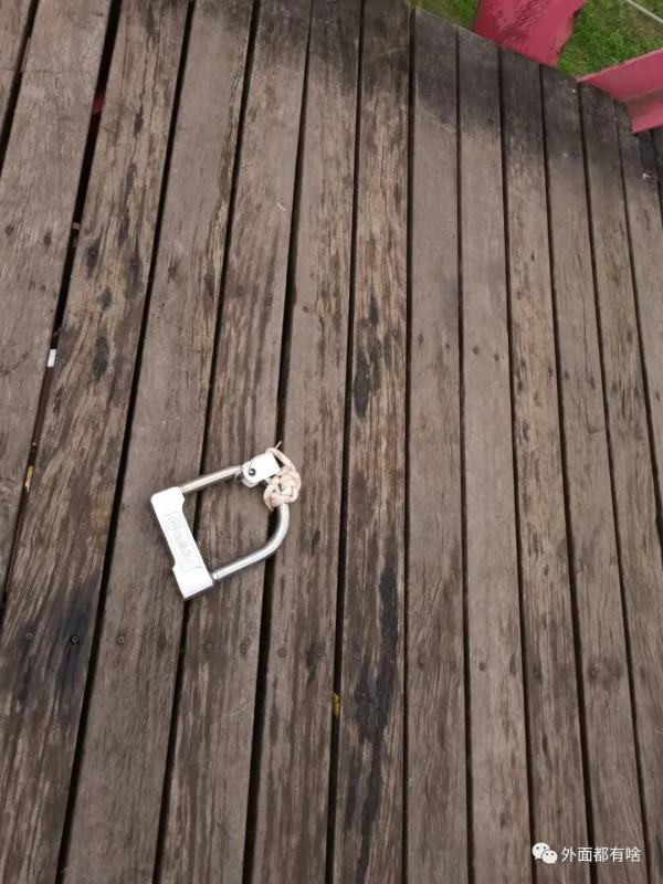 成長來自於孩子增加的認知——戶外小隊活動記實（1）