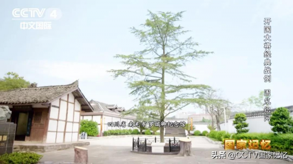 羅瑞卿圍籠織網,將敵軍“一字長蛇”斬為三段 羅瑞卿圍籠織網,將敵軍“一字長蛇”斬為三段