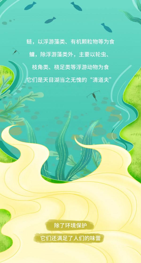 天目湖:《一條胖頭魚的前世今生》 天目湖:《一條胖頭魚的前世今生》