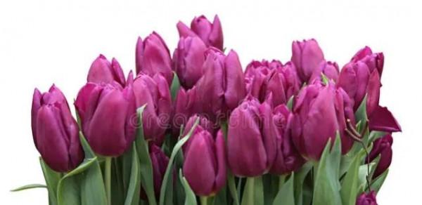 大直若屈，大巧若拙，大辯若訥