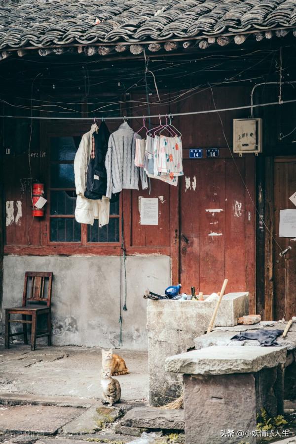 爺爺的孩子少了一個，那天我在靈前哭的撕心裂肺……