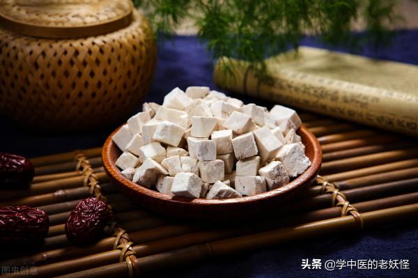 每日一中藥——茯苓